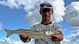 Entre septiembre y enero ocurre la mayor actividad reproductiva que comienza con el desove de la hembra y la fecundación por parte del macho, por ende, acertado el cuidado de la especie.
