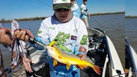 En este punto de la provincia de Entre Ríos disfrutamos de buen pique de dorados.