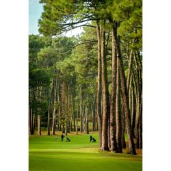 Un fin de semana en este hotel puede mejorar tu calidad de vida | Foto:CEDOC