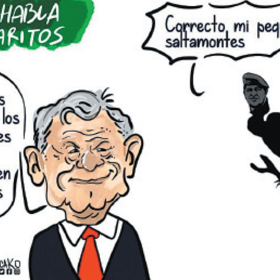 El poder de las caricaturas en la política | Perfil