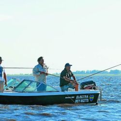 Según el Régimen Federal de Pesca, Ley 27564, quienes no respeten la veda podrán ser denunciados y enfrentar el pago de multas importantes.