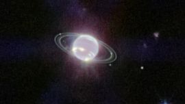 El fenómeno tiene desconcertado a los científicos.