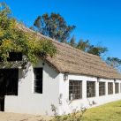La Lechuza de campo