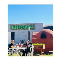 La Lechuza de campo