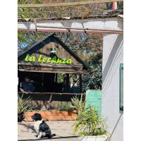 La Lechuza de campo