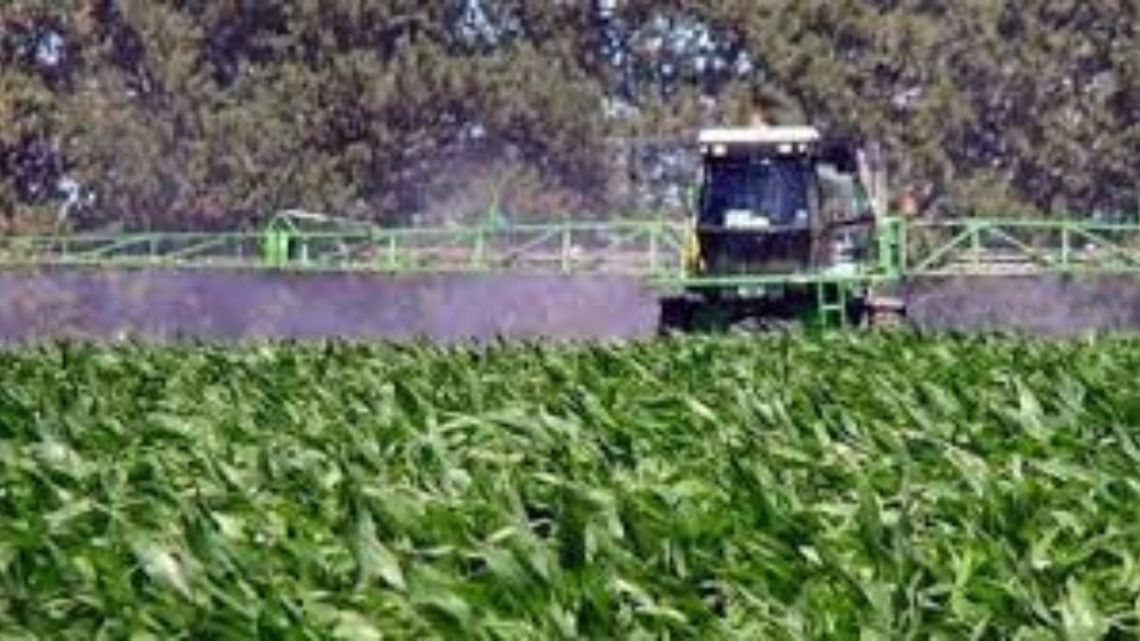 Desarrollan Un Producto Que Elimina El Glifosato Del Agua Y Los Alimentos Perfil