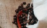 Secreto capilar: los beneficios del café para un pelo fuerte y radiante