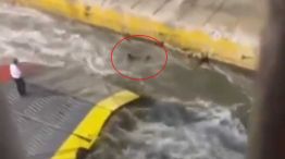 Momento en el que el hombre arrojado del ferry cae al agua.