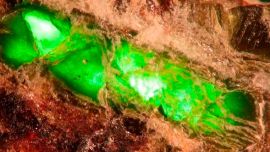 Las rocas contenían unos peculiares y luminosos cristales verdosos.