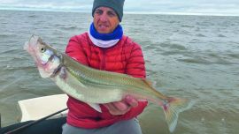 0907_pejes_rio_plata