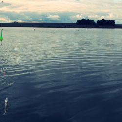 Hasta el primer día de diciembre, la veda limita la pesca de pejerrey a sábados, domingos y feriados, salvo escasas excepciones. 