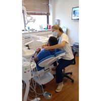 Dental Pro