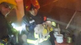 12-09-2023 incendio rescate perro Córdoba