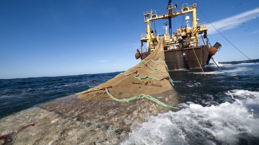 Pesca ilegal: Argentina está entre los tres países más perjudicados del  mundo