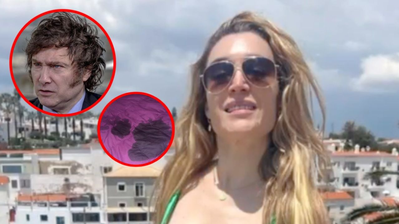 Fátima Florez contó la verdad detrás de la foto viral con Javier Milei en  la cama: 