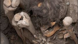 La momia estaba en posición sentada.