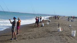Sin la chance del pejerrey por la veda en ámbitos bonaerenses, la opción es intentar en alternativas más lejanas y con otras especies.