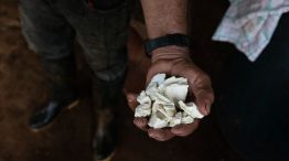 A Cocaine Warlord Is Saving the Amazon With His Campaign of Terror