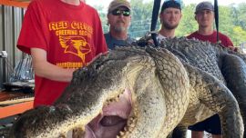John Hamilton y sus amigos junto al gigantesco cocodrilo.