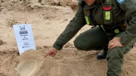 Fue encontrada a la vera de la ruta que une las localidades de Rodeo con Angualasto, en Iglesia.