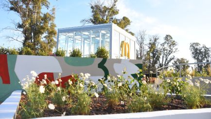 McDonald 's