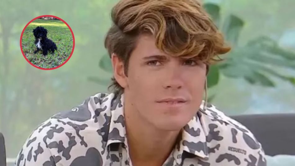 Morita, la perrita de Marcos Ginocchio en Gran Hermano, ahora es influencer