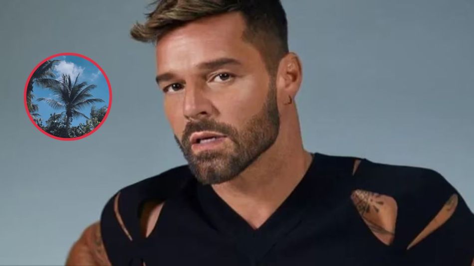 Ricky Martin, soltero y sin inhibiciones en un video para sus seguidores en redes sociales