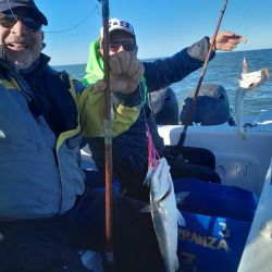 Aunque en los ríos del norte complicó la entrada de agua, en gran parte del país, la pesca fue muy buena.