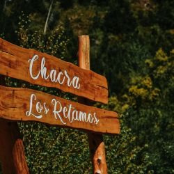 Chacra Los Retamos, alfajores de calidad Premium | Foto:CEDOC