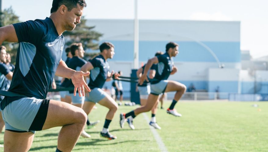 los pumas