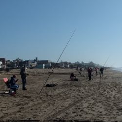 En los distintos muelles de la costa, es común ver a los pescadores dejar caer las líneas cerca de los pilotes de los muelles, logrando así sus capturas sin necesidad de lanzar lejos. 