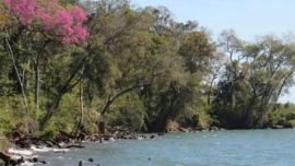 El 40% de la superficie misionera pasa a tener la categoría de protección ambiental llamada Reservas de Usos Múltiples