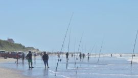Actividad a pleno en la despedida de un nuevo mes. Sin pejerrey por la veda, la alternativa es el mar y la variada.