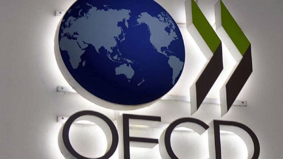 Melone sobre el pronóstico de la OCDE para Argentina: "Hay una oportunidad para el nuevo Gobierno"