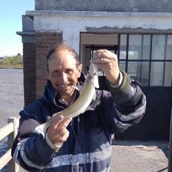 Buenas noticias en el informe semanal que llega de la zona sur, con un cierre de temporada que viene con matungos en el Río de la Plata.