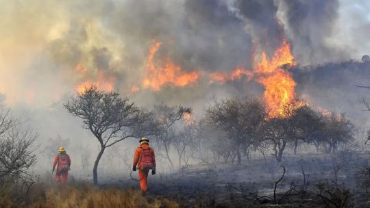 En el primer semestre, los incendios forestales devastaron el equivalente a 10.714 canchas de fútbol en Córdoba
