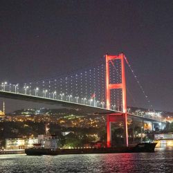 El barco Resilient Africa, con bandera de Palau, navega a lo largo del estrecho del Bósforo pasando por Estambul. Foto de YASIN AKGUL / AFP | Foto:AFP