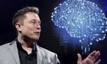 Para qué sirve el chip cerebral creado por Elon Musk