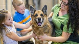 Todos nuestros más fieles amigos merecen un techo donde vivir y ser felices.