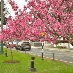 Se espera una primavera con temperaturas elevadas en la mayor parte del país.