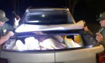Detienen a un vehículo que transportaba casi una tonelada de dorados y surubíes
