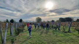 Viñedos de Entre Ríos y su particular clima.