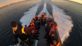 Encuentros cercanos con lobos marinos en cercanías de Puerto Madryn, una aventura que requiere preparación pero vale la pena.
