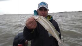 La laguna tiene muchísima cantidad de pejerrey, que hay que pescarlo, no come todos los días igual y está muy sutil.