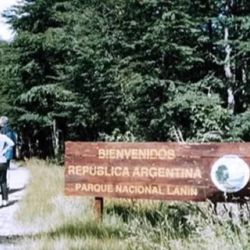 El Parque Nacional Lanín, en Neuquén, fue escenario de la trágica muerte de dos niños en 2016.