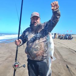 Reta tiene aguas que poseen una temperatura superior a la del resto de la costa atlántica, debido a la influencia de la corriente del Brasil.