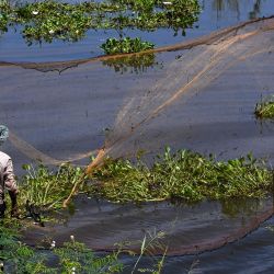 Un hombre arroja una red de pesca a un lago en la provincia de Kandal, cerca de Phnom Penh, Camboya. | Foto:TANG CHHIN SOTHY / AFP