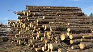 Deforestación