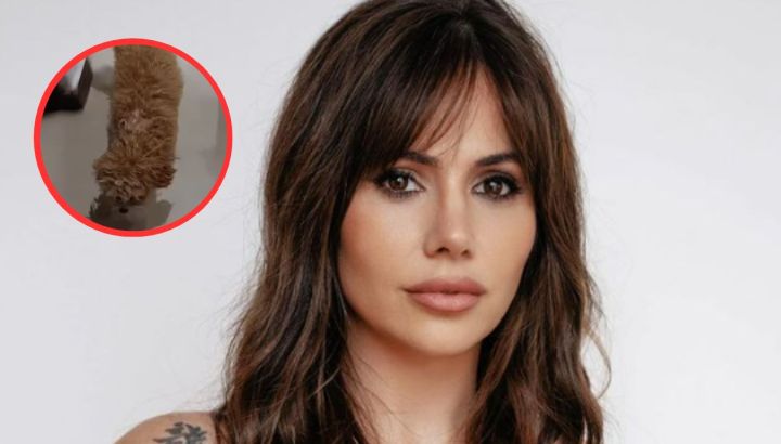 Los comentarios hacia Romina Uhrig tras la reaparición de su perro Caramelo en las redes: "Me preocupaba si seguía vivo"