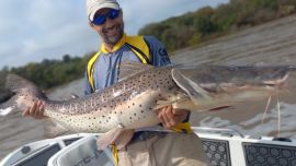 Una importante crecida cortó el pique, aunque, poco a poco, algunas especies van volviendo a aparecer.
